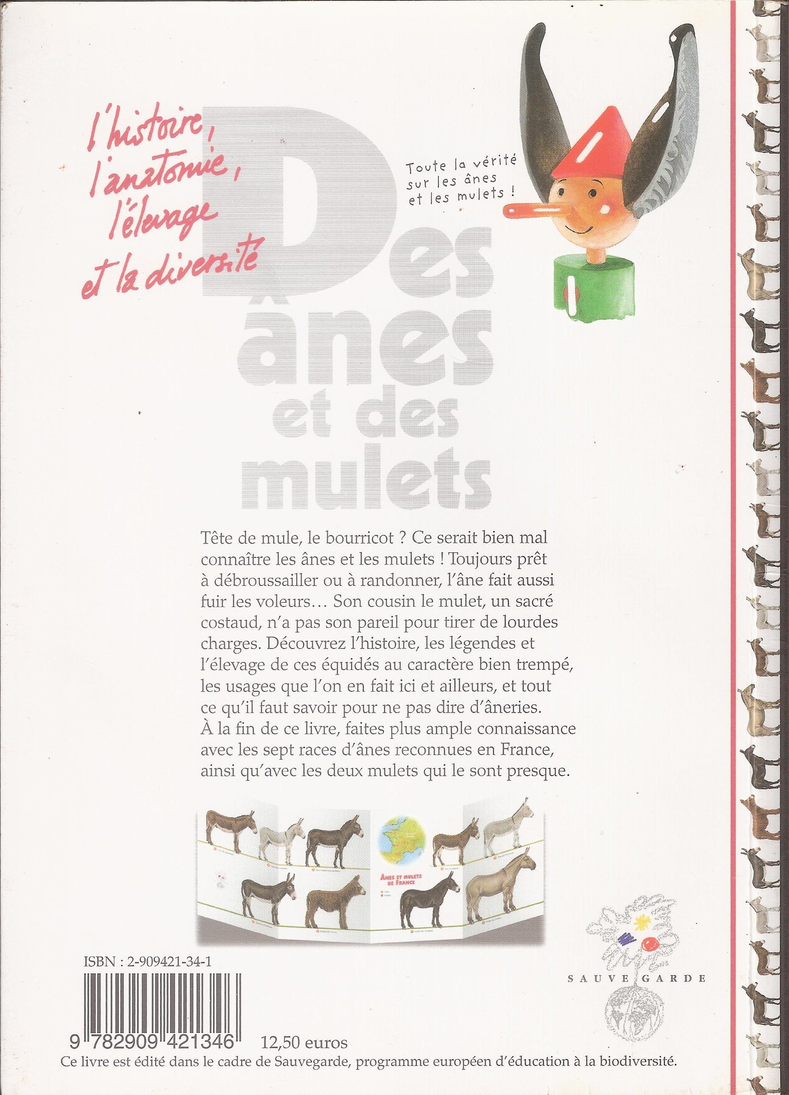 des anes 2