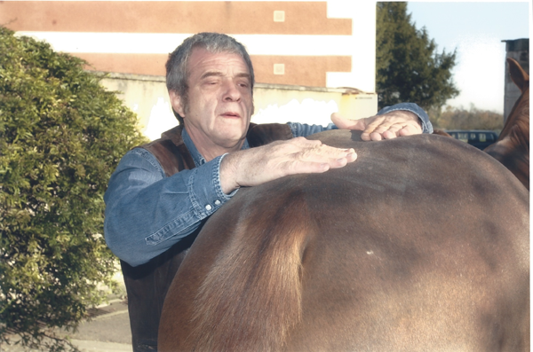 Couverture de  PRATIQUE DE L'ACUPUNCTURE ÉQUINE