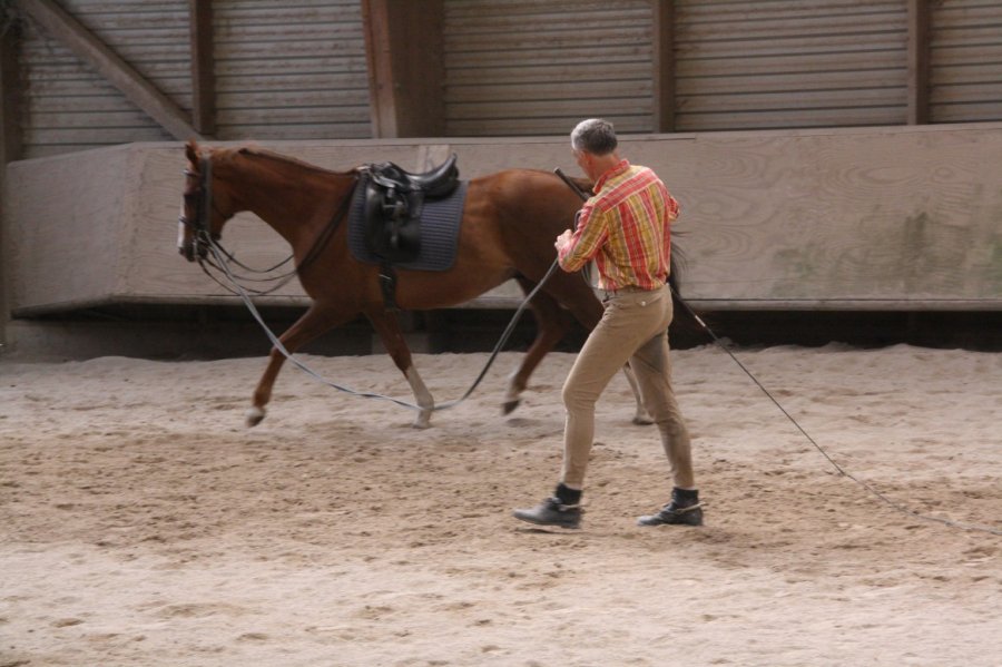 juin 2010 010.v01