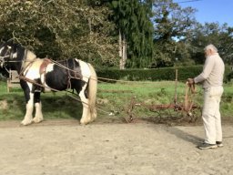 Octobre 2023 : essais du cultivateur !