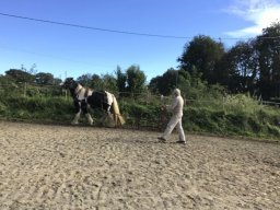 Octobre 2023 : essais du cultivateur !