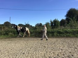 Octobre 2023 : essais du cultivateur !